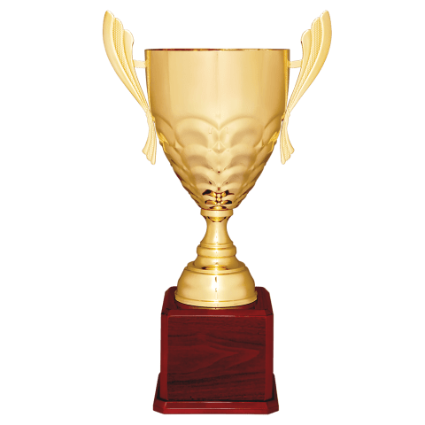 Gold Metal Cup
