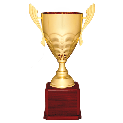 Gold Metal Cup