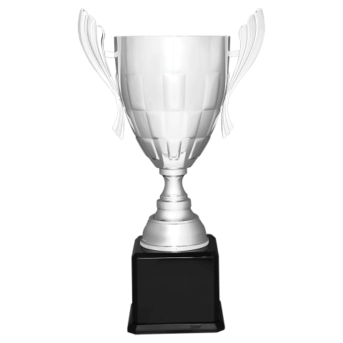 Silver Metal Cup