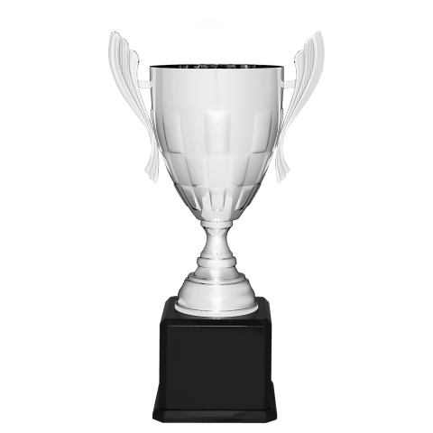 Silver Metal Cup