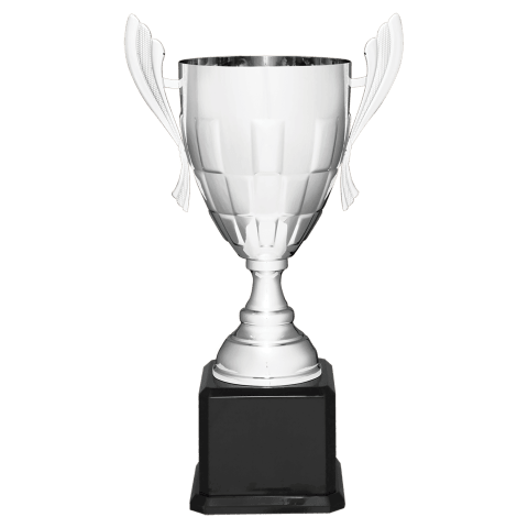 Silver Metal Cup