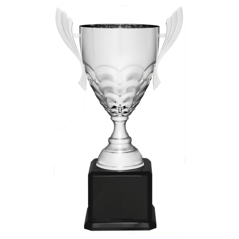 Silver Metal Cup