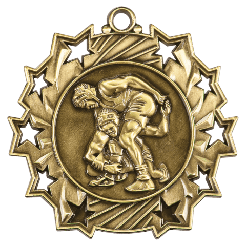 Wrestling Ten Star Medal-Gold