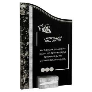 Silver & Black SunRay Award with Aluminum Base