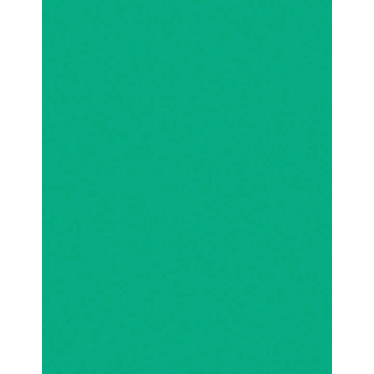 Undersize 1/32" Mint Duets ADA Applique Plastic with 3M Adhesive
