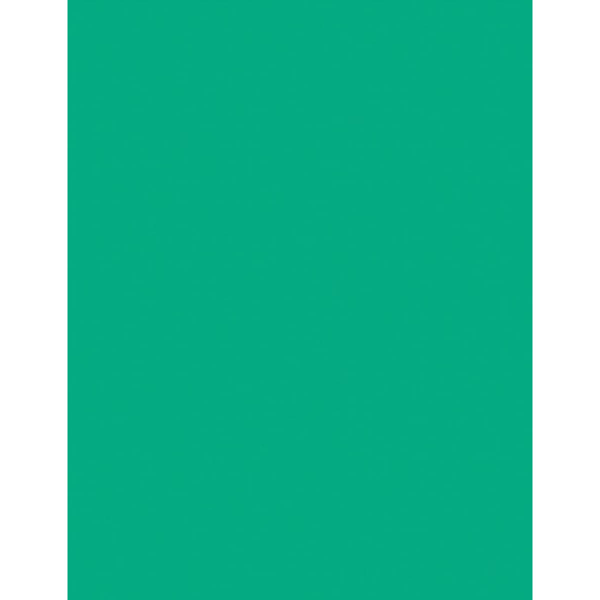 12" x 24" x 1/16" Mint Duets ADA Substrate Plastic