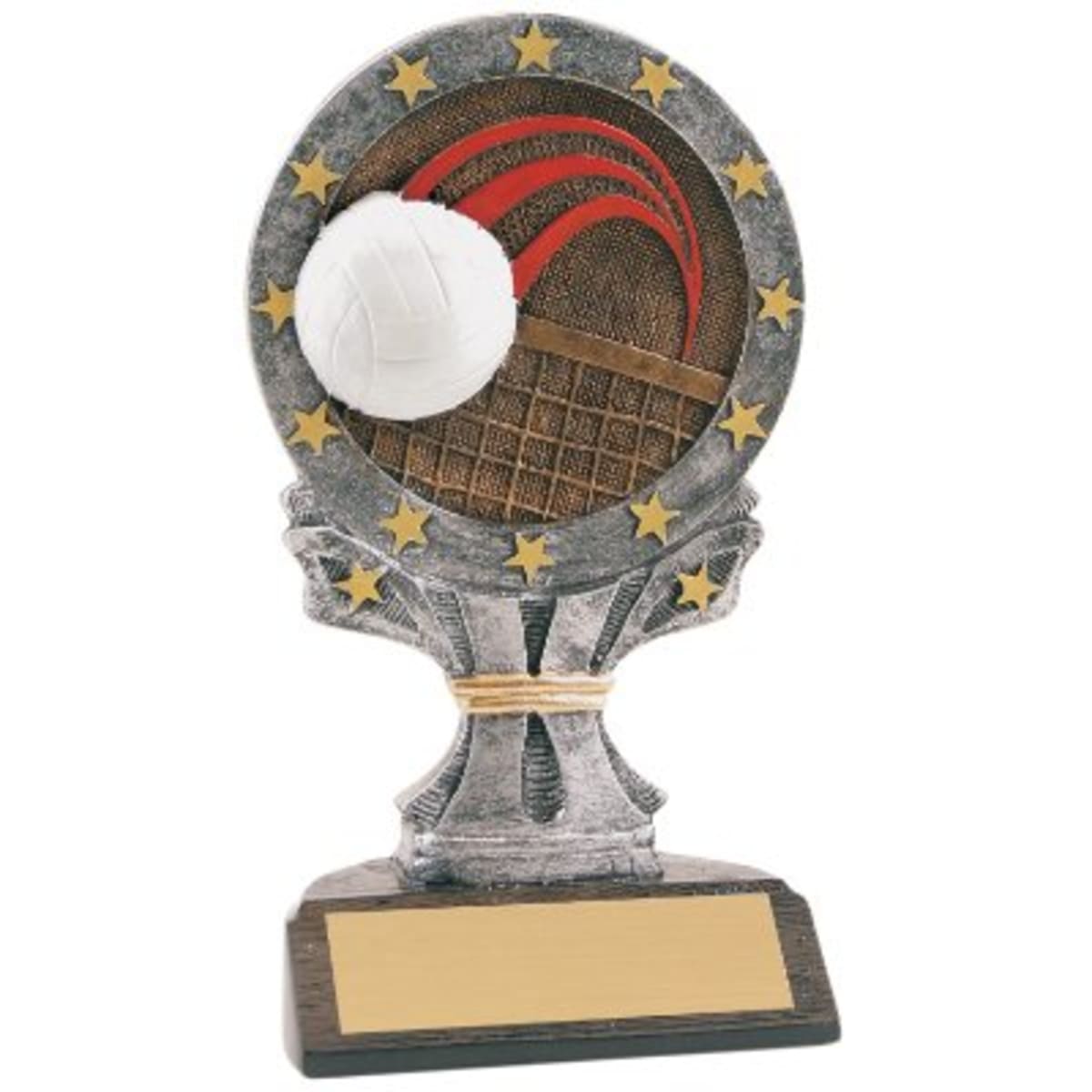 6 1/4" Volleyball All Star Resin