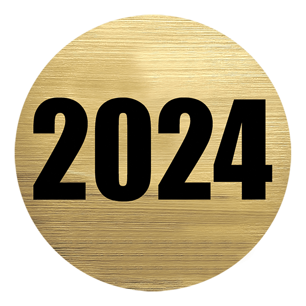 2" 2024 Activity Insert