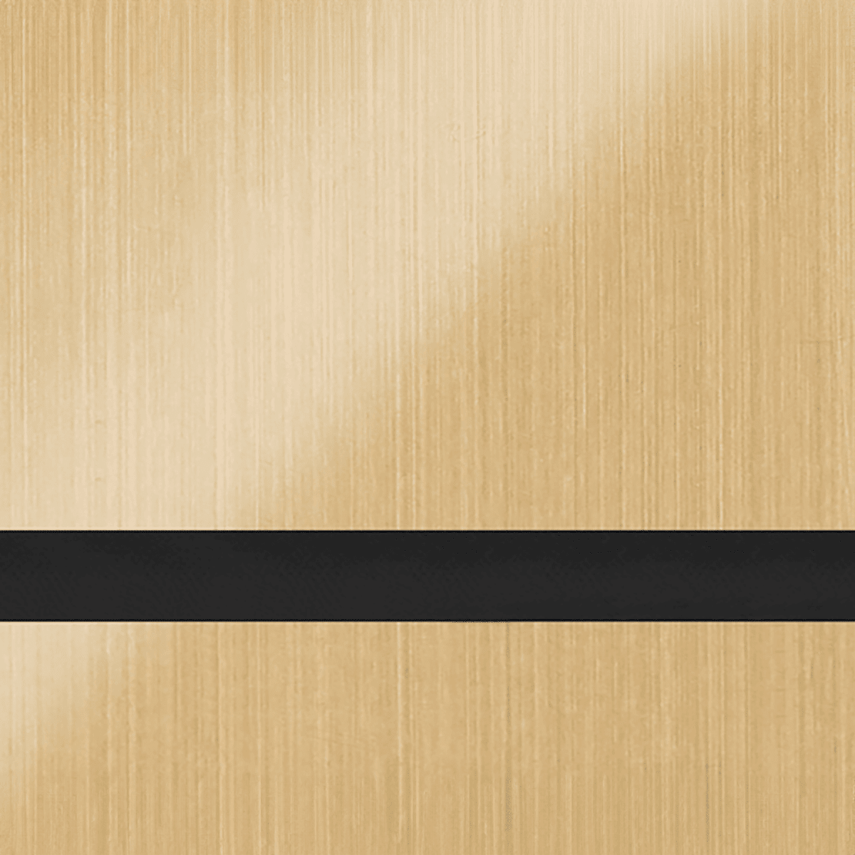 24X49 Duets Brushed Satin Gold/Black 1/8 Laser Indoor Metals