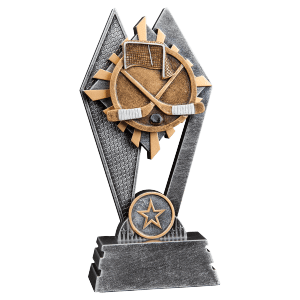 7" Hockey Sun Ray Award