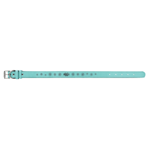 Teal Large Leatherette Dog Collar