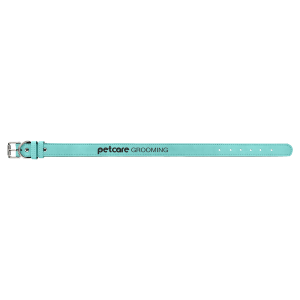 Teal Extra Large Leatherette Dog Collar