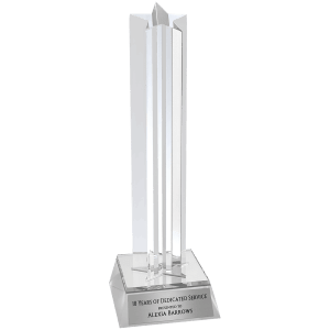 Silver 8 1/2" Star Column Acrylic with Base