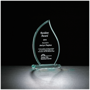 8 1/2" Flame Series Glass Award