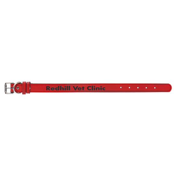 Medium 19" x 1" Laserable Leatherette Dog Collar - Image 7