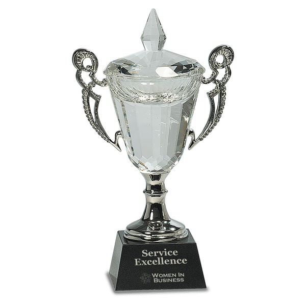 9 1/2" Crystal Cup with Silver Handles and Stem