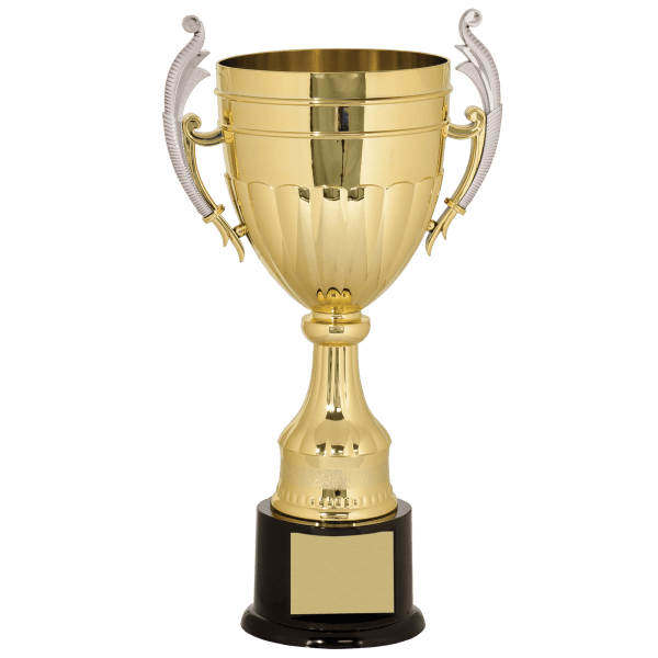 16 3/4" Gold/Silver Plastic Completed Cup Trophy