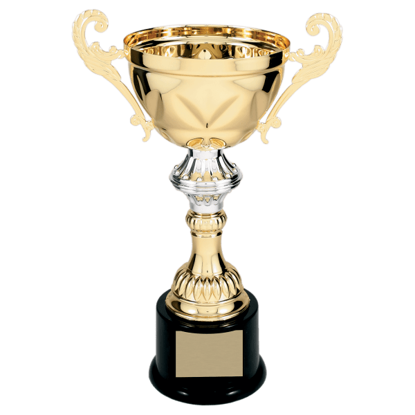 11 1/2" Completed Metal Cup Trophy on Plastic Base
