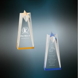8″ Sculpted Star Acrylic Blank Sample Set