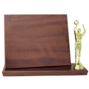 9 3/4″ x 7 3/4″ Cherry Finish Standup Plaque