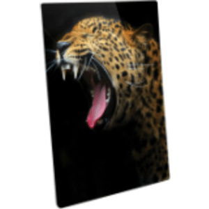 5″ x 7″ Semi-Gloss White ChromaLuxe Aluminum Photo Panel
