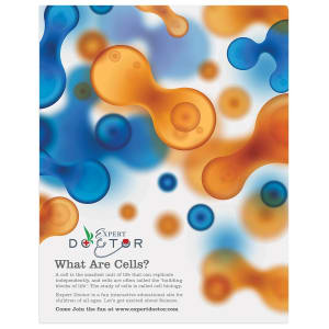 11″ x 14″ Gloss White ChromaLuxe Aluminum Photo Panel