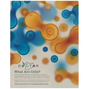 11″ x 14″ Gloss Silver ChromaLuxe Aluminum Photo Panel