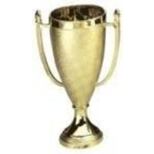 8 3/4″ Gold Plastic Cup