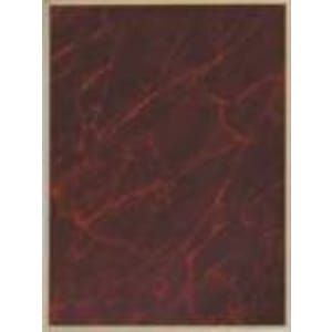 4″ x 6″ Red Marble/Gold Brass Plated Steel Plaque Plate