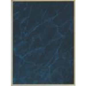 7″ x 10″ Blue Marble/Gold Brass Plated Steel Plaque Plate