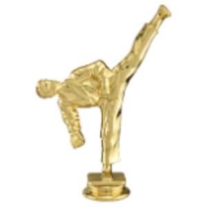 6″ Male Tae Kwon Do Figure