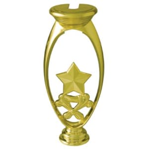 6″ Star Riser