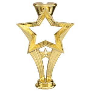 6″ Open Star Riser