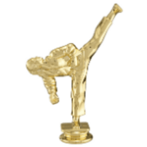 6″ Female Tae Kwon Do Figure