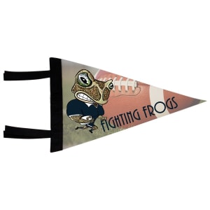 8″ x 12″ White Sublimatable Pennant