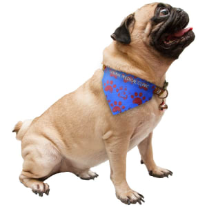 5 3/4″ x 4 1/4″ Sublimatable Pet Scarf