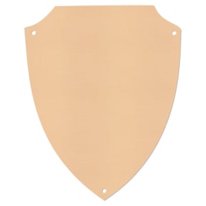 4 1/4″ x 5 5/8″ Satin Gold Aluminum Shield Plaque Plate
