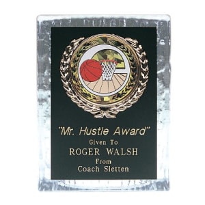 3 3/4″ x 5″ Clear Sculpted Ice Standing Plaque