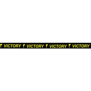 2 3/8″ Victory Trophybands