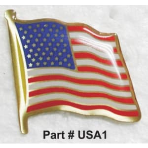 USA Flag Pin with Epoxy Dome and Clutch Back