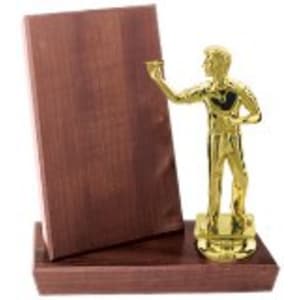 4″ x 6″ Value Cherry Finish Standup Plaque