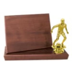 7″ x 5″ Value Cherry Finish Standup Plaque