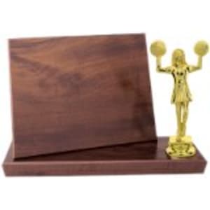 8″ x 6″ Value Cherry Finish Standup Plaque