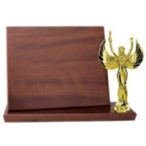 10″ x 8″ Value Cherry Finish Standup Plaque
