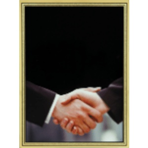 3 7/8″ x 5 7/8″ Appreciation/Sales Brass Plated Steel Hi-Def Plaque Plate