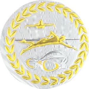 2″ Metallic Swimming Mylar