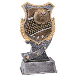6″ Volleyball Shield Award