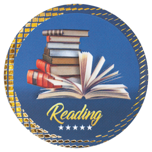 2″ Reading Dazzle Insert