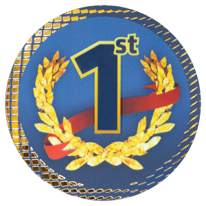 2″ 1st Place Dazzle Insert