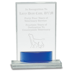 7 3/4″ Crystal Rectangle with Blue Accent
